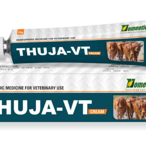 THUJA-VT Cream Pack Of 2